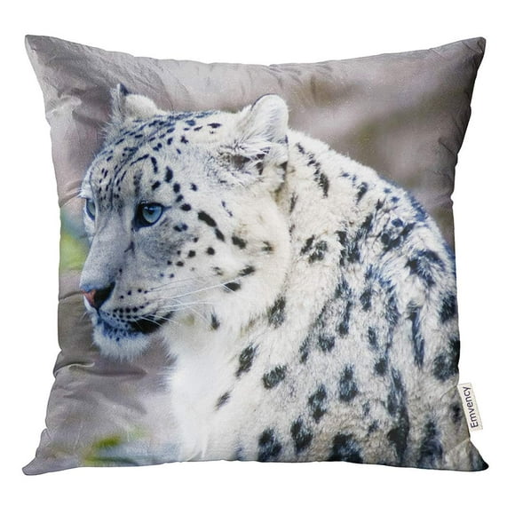 Leopard Leopard Animal Panther Throw Pillow Cover w Optional Insert by Roostery 